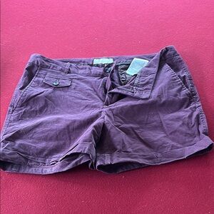 Banana Republic Women's Burgundy Shorts
